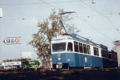 Mirag-41
