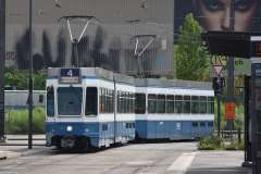 wt109491