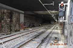 wt116594