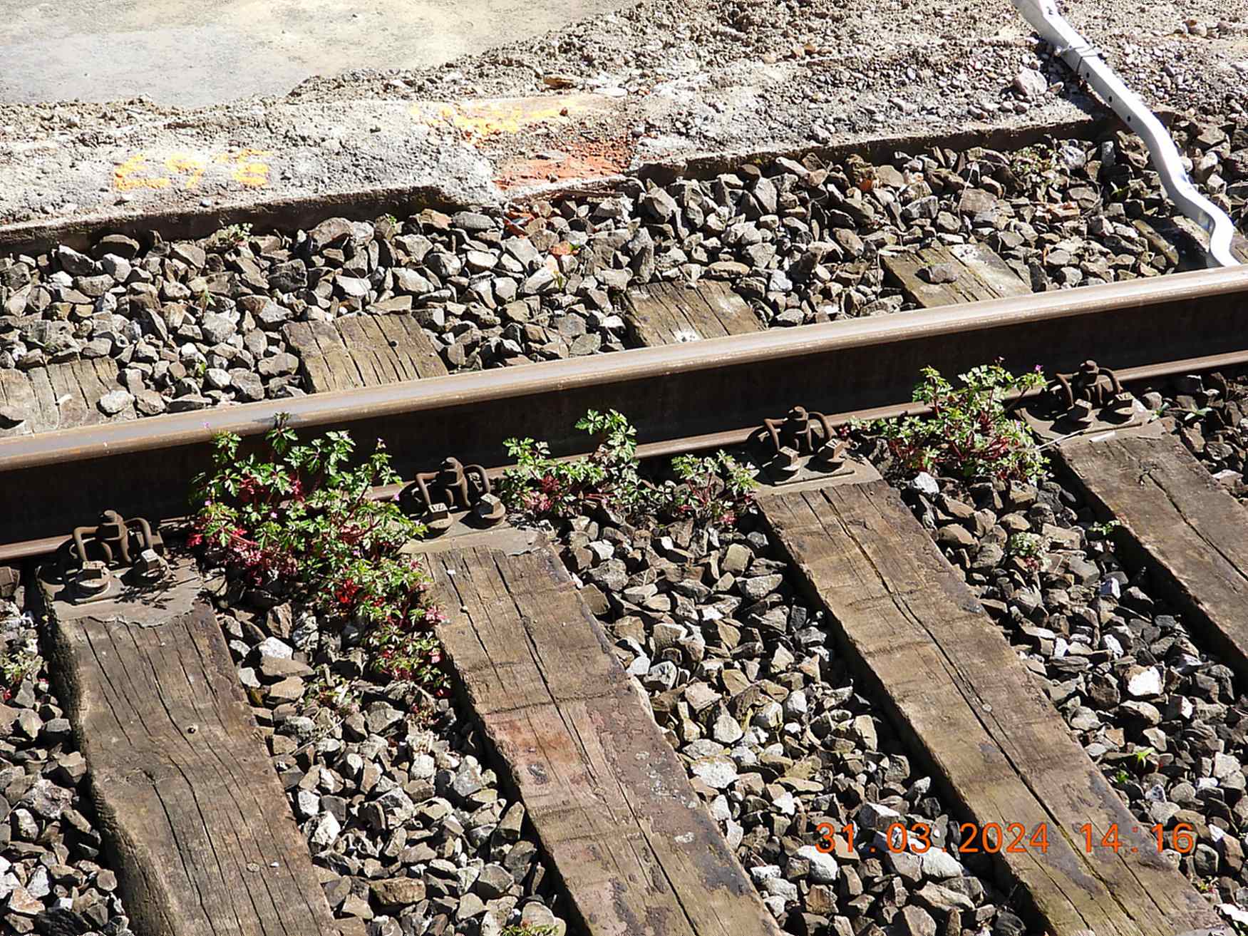 Impressionen-Ende-Maerz07
